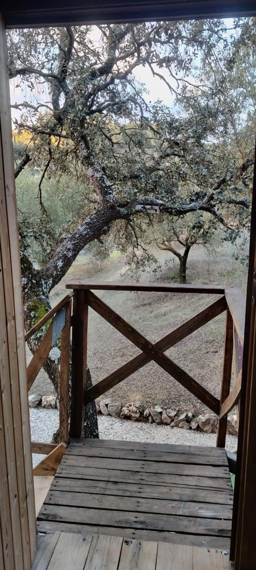 Cabana Del Arbol Lavagarural Villanueva del Rosario Bagian luar foto